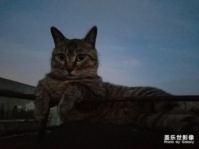 隨拍