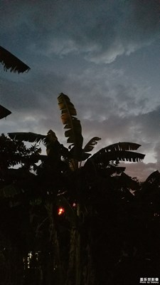 隨拍