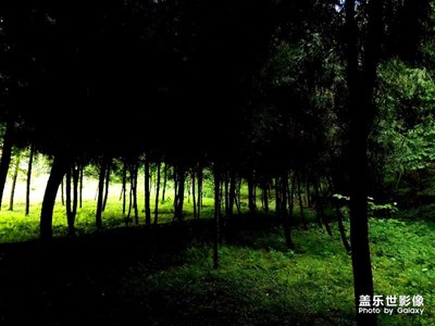 山林幽幽