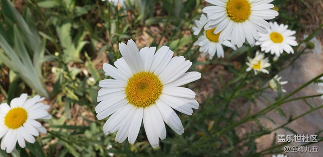 Galaxy S9 輕體驗(yàn)