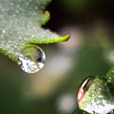 【葉子的故事】+眨動與訴說