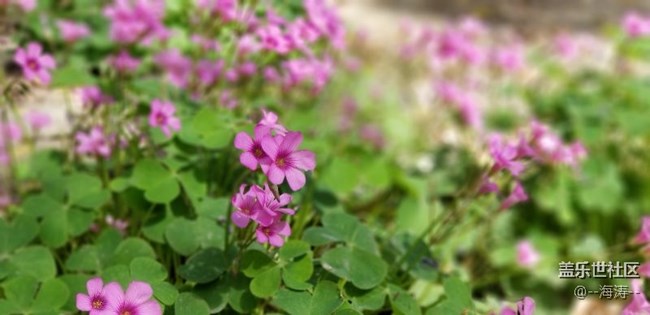 note8拍的照片。