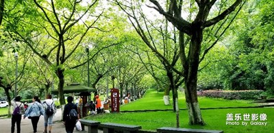 川綠