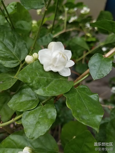 隨手拍