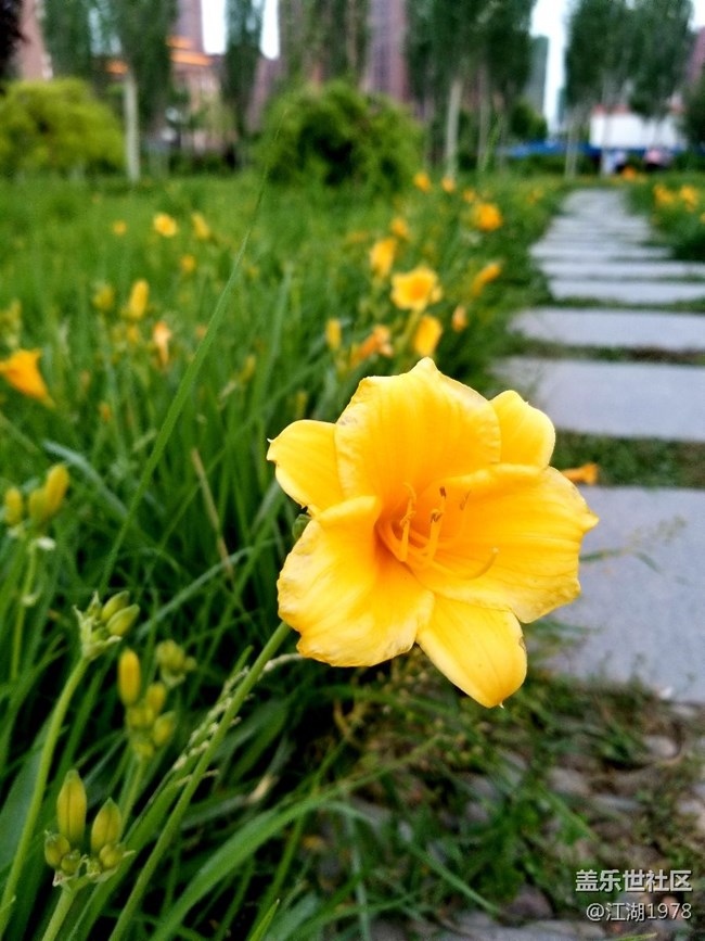 note8拍我的美麗家鄉(xiāng)