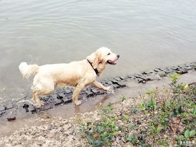 這個(gè)周末不寂寞