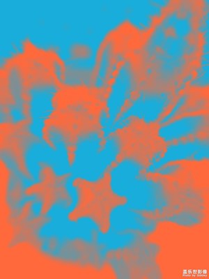 【夏之花】那些花2