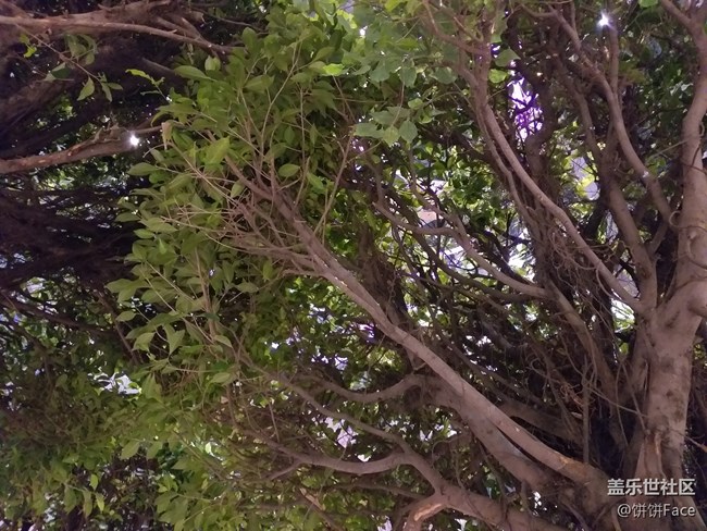 全宇宙首發(fā)！三星Galaxy A9 Star | A9 Star Lite新品評(píng)測(cè)