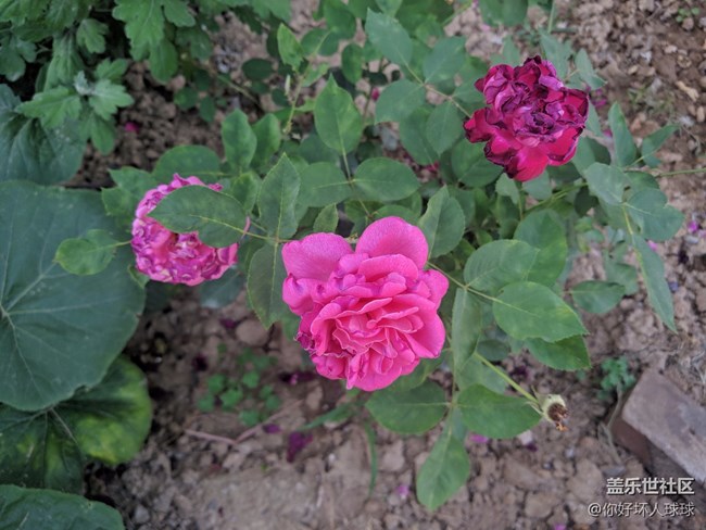 Note 8 拍照  字?jǐn)?shù)補(bǔ)丁