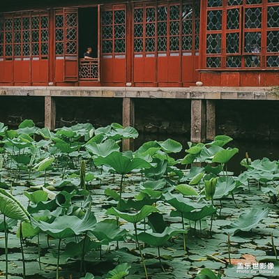 【中國(guó)最美瞬間】+人家盡枕河