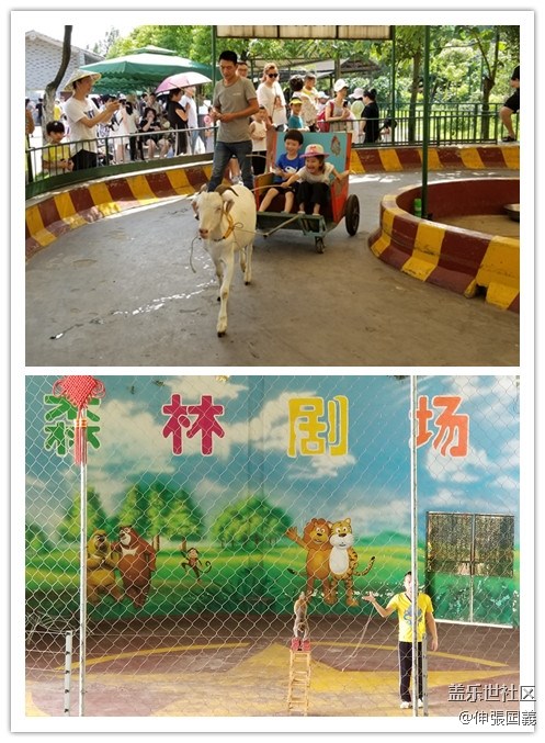 【回顧】長(zhǎng)沙星部落游玩活動(dòng)—《長(zhǎng)沙生態(tài)動(dòng)物園》