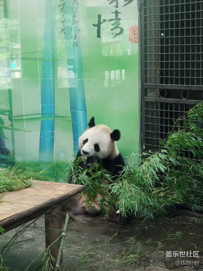 記長沙動(dòng)物園游——長沙星部落活動(dòng)