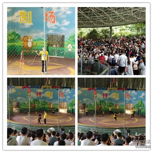 【回顧】長(zhǎng)沙星部落游玩活動(dòng)—《長(zhǎng)沙生態(tài)動(dòng)物園》