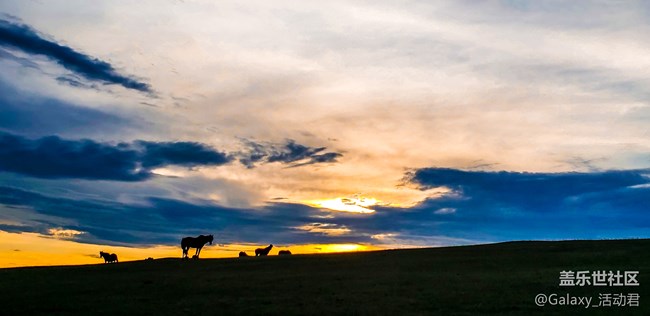 最美攝影課堂：掌握構(gòu)圖用光技巧，王坤教你玩轉(zhuǎn)手機(jī)攝影！