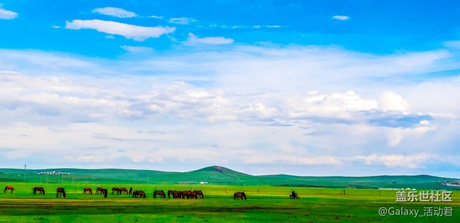 最美攝影課堂：掌握構(gòu)圖用光技巧，王坤教你玩轉(zhuǎn)手機(jī)攝影！