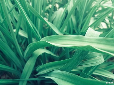 淺淺-慢慢-自然