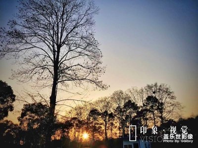 傍晚遛彎隨拍