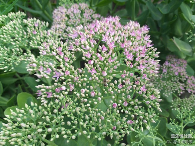 妙趣橫生 三星Galaxy A9 Star Lite趣味拍照體驗(yàn)