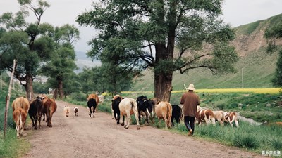 【中國最美瞬間】+ 陌生人