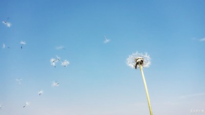 【中國最美瞬間】+藍與白