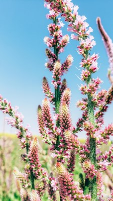【中國最美瞬間】人生海海，跨越河西走廊