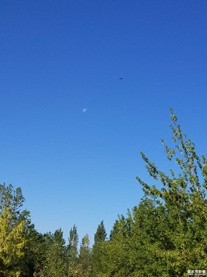 有??的早晨