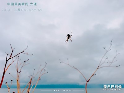 【中國最美瞬間】大理隨記（二）