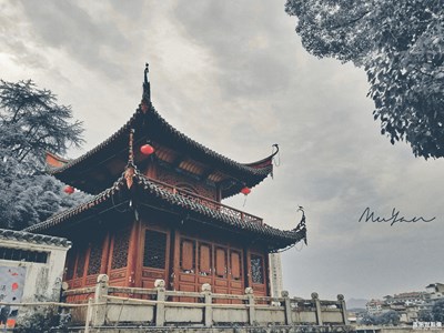 隨手拍（8）