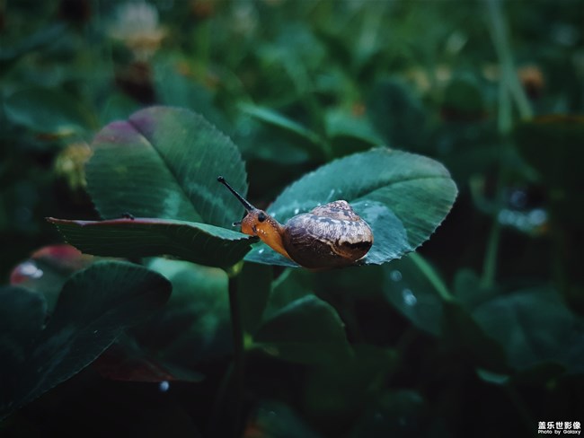 【第106期：三伏天來(lái)襲 各位一定要注意身體喲】