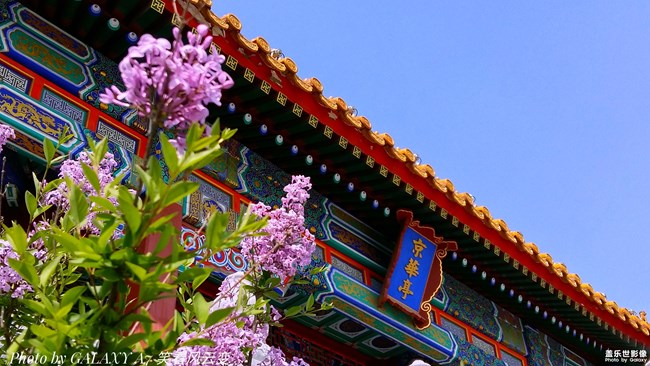 【第106期：三伏天來(lái)襲 各位一定要注意身體喲】