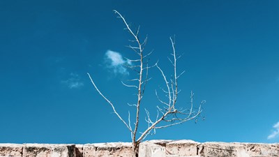 【Photo by Galaxy】初嘗試 RAW ， 手機(jī)大片我做主