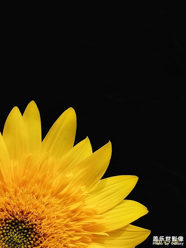 【三星蓋樂世A9 Star】剛好遇見你