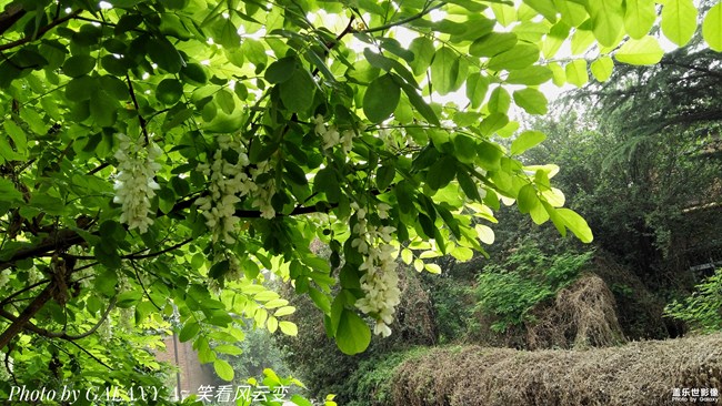 【第107期：精帖匯入圍的的小伙伴記得要回復確認喔】