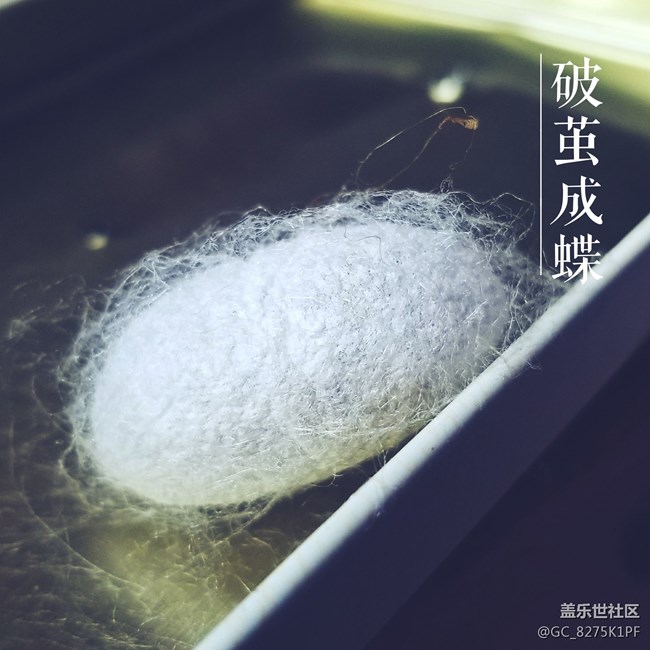忙碌的時(shí)候更喜歡你來幫我記錄生活
