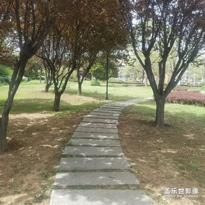 【“醉美”公園】+孔子廣場(chǎng)公園