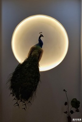 祥之鳥