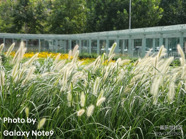 全銀河系首發(fā)！Galaxy Note9圖文&視頻評測