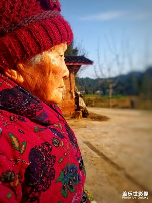 歲月靜好
