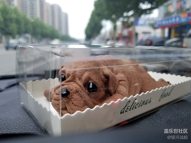 很可愛的狗狗蛋糕