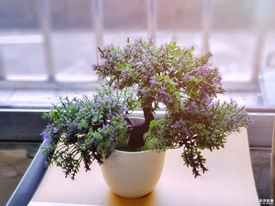 【簡(jiǎn)單生活】+平平淡淡