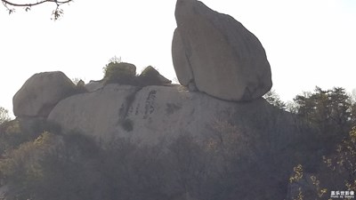 【簡單生活】+大自然的神奇