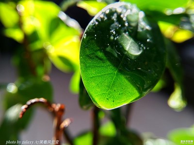 【簡(jiǎn)單生活】+多彩的生活