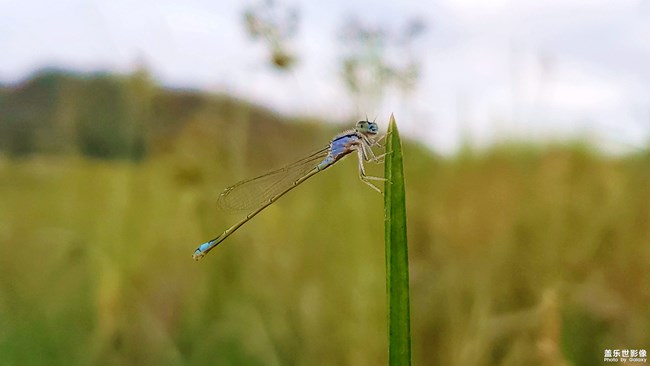 【114期：三星純粹呈現(xiàn) 華晨宇鳥巢演唱會(huì)High翻天】