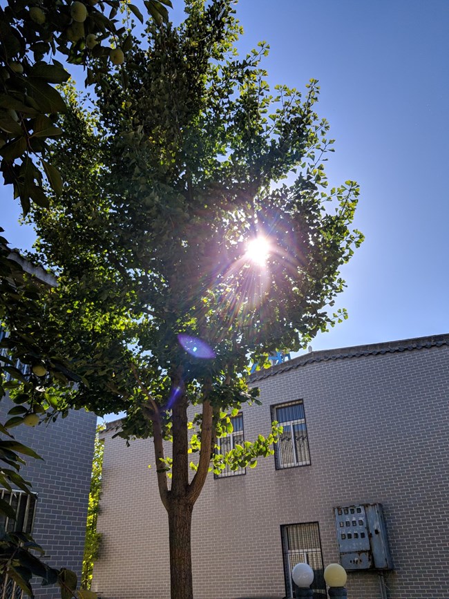 note8最近的隨拍