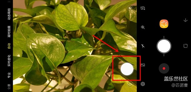 這部相機(jī)可以更適合你 Galaxy Note9拍照小竅門