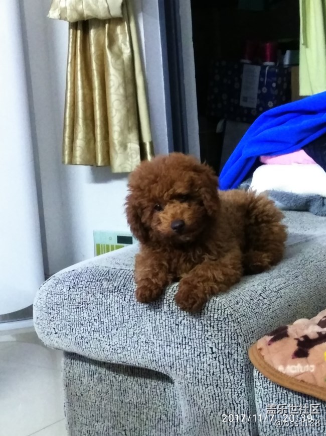 S9+可以刷蘇州公交