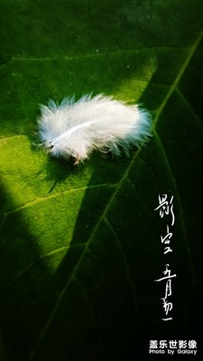 簡(jiǎn)單生活+小品