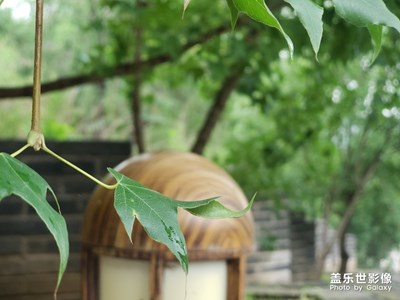 再游古北水鎮(zhèn)，S9+實拍美景