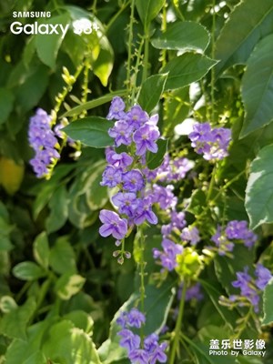 說是臺風(fēng)要來，但是沒什么感覺，還挺期待。在等待臺風(fēng)的日子