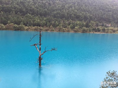 最美瞬間。。。。。。。